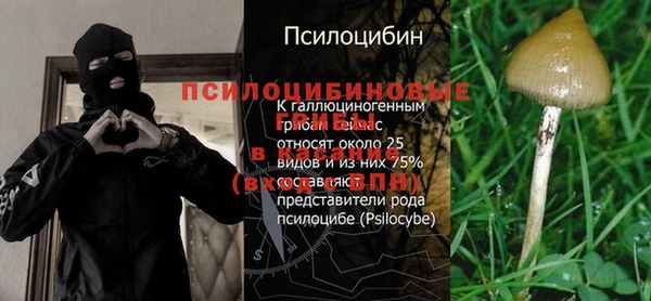 бошки Алексин