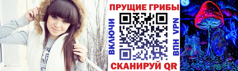 продажа наркотиков Петровск-Забайкальский Псилоцибиновые грибы прущие грибы